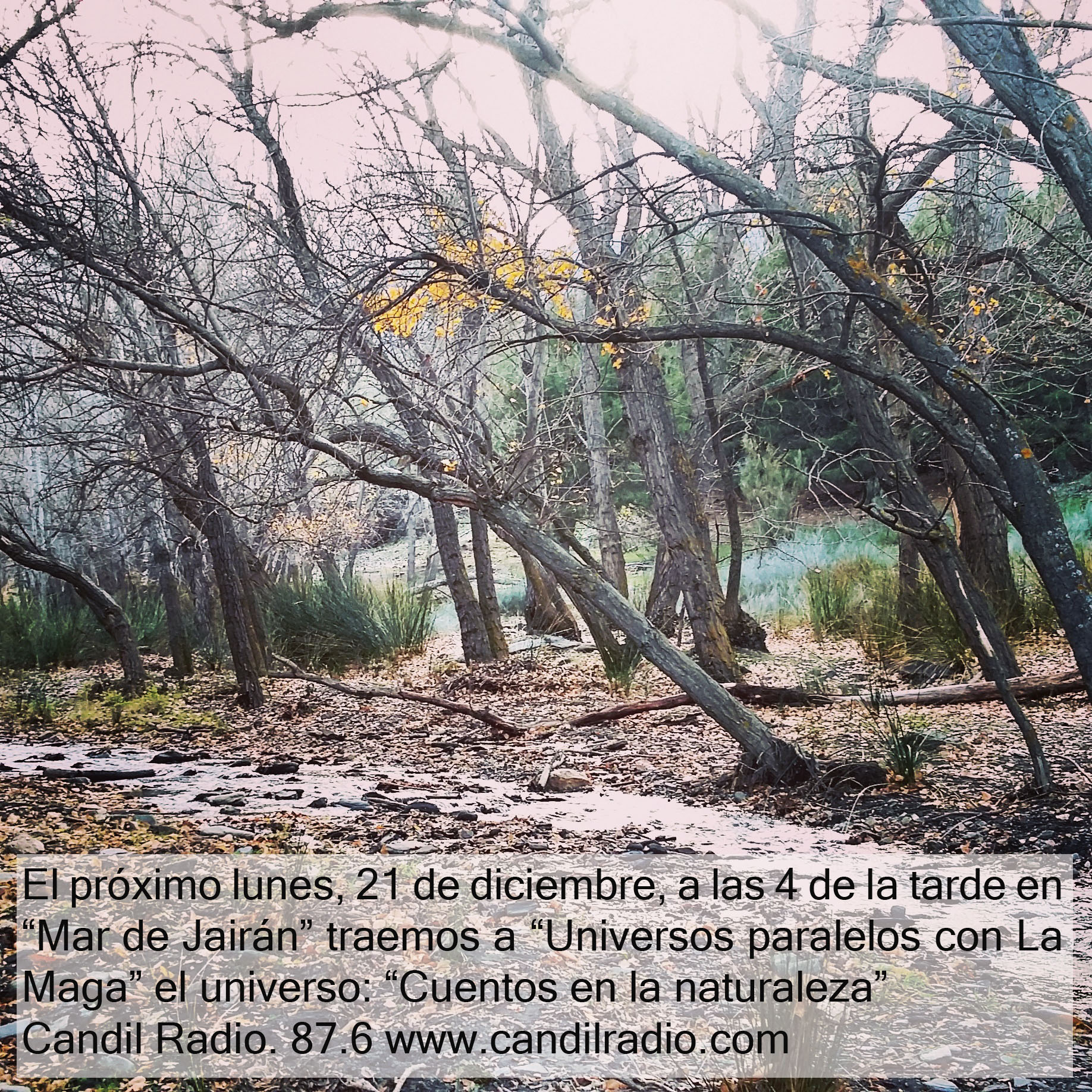 Programa 15